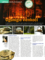 cemodans 01.10.2008. 36